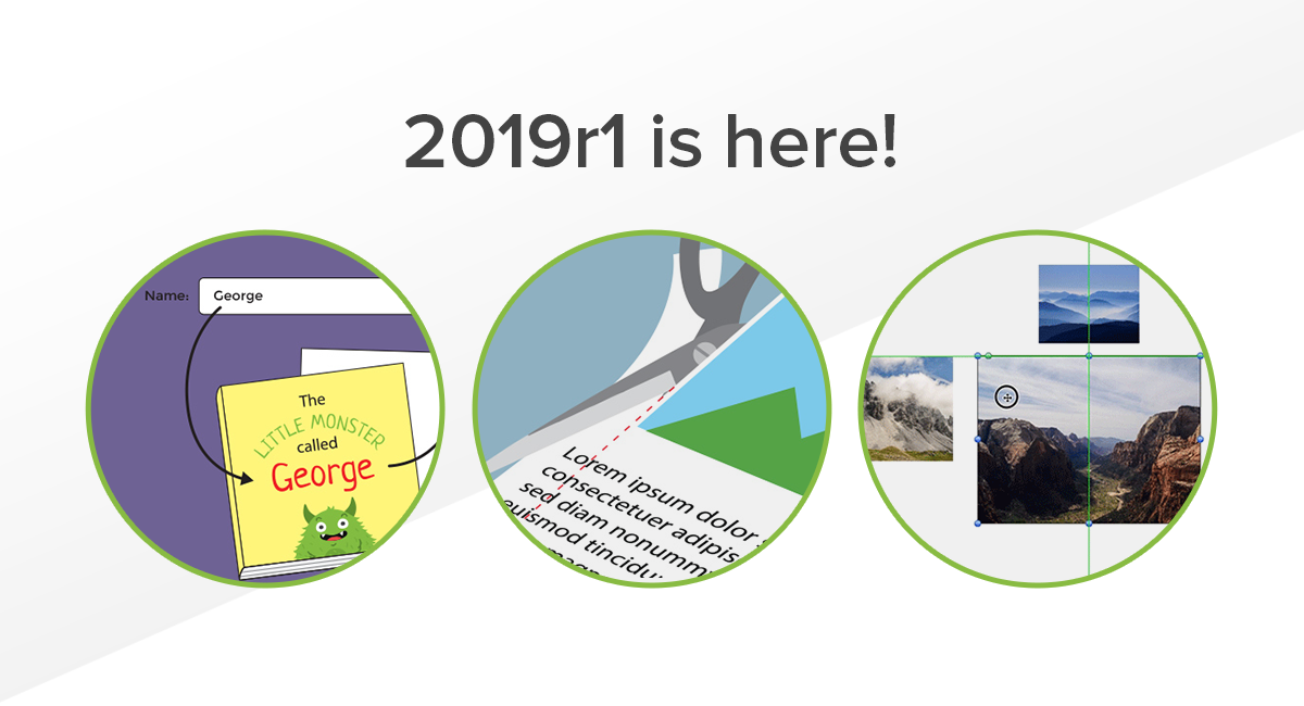 Taopix 2019r1 software release image